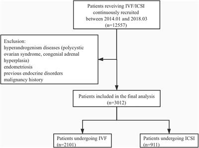 A Proper Increasing in the Testosterone Level May Be Associated With Better Pregnancy Outcomes for Patients With Tubal or Male Infertility During in vitro Fertilization/Intracytoplasmic Sperm Injection